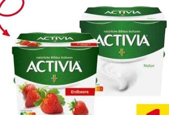 Transgourmet Activia Joghurt Angebot