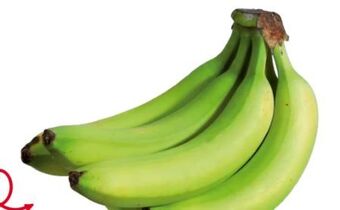 Transgourmet Bananen Angebot