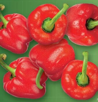 Lidl Paprika Angebot