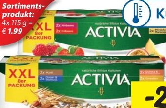 Lidl Activia Joghurt Angebot