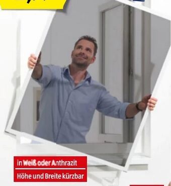Hofer Insektenschutz-Fenster Angebot