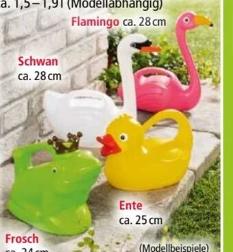 Norma Gießkanne Angebot