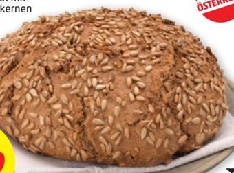 PENNY Sonnenblumenbrot Angebot