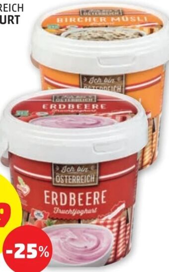 PENNY Fruchtjoghurt Angebot