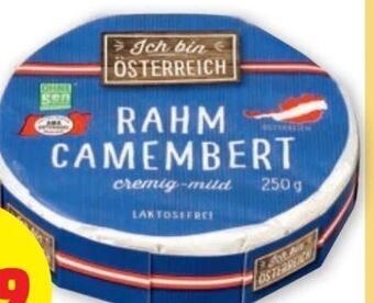 PENNY Rahm Camembert Angebot