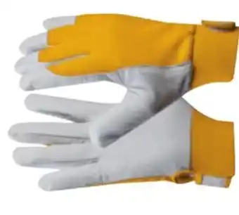 Zgonc Handschuhe Uni Fit Eco Angebot