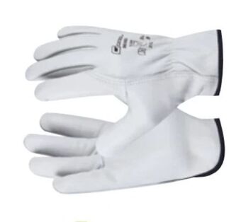 Zgonc Handschuhe Driver Angebot