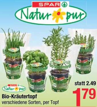 Maximarkt Bio- Kräutertopf Angebot