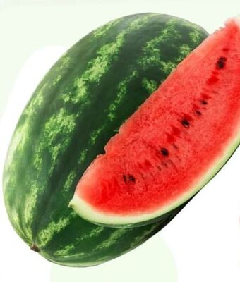 ETSAN Wassermelone Angebot