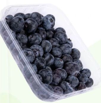 ETSAN Heidelbeeren Angebot