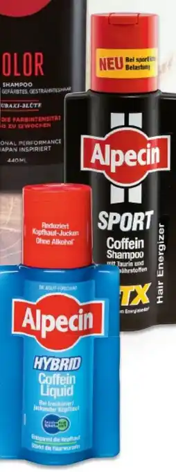 Metro Shampoo Coffein Sport Angebot