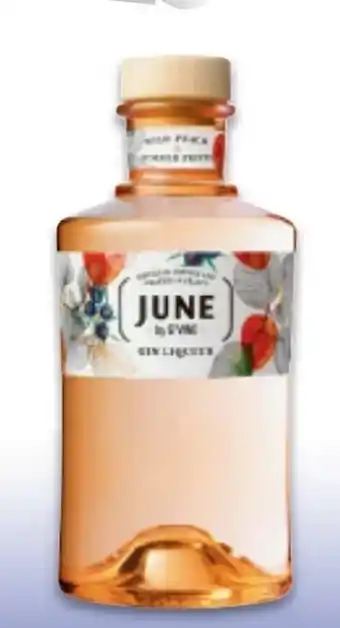 Metro Gin June Angebot