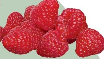 Metro Himbeeren Angebot