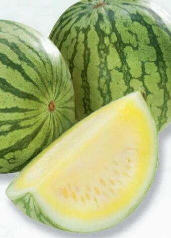 Metro Wassermelone Angebot