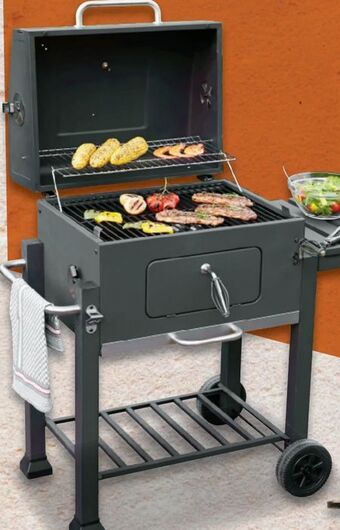 Metro Holzkohlegrill Trolly Deluxe Angebot