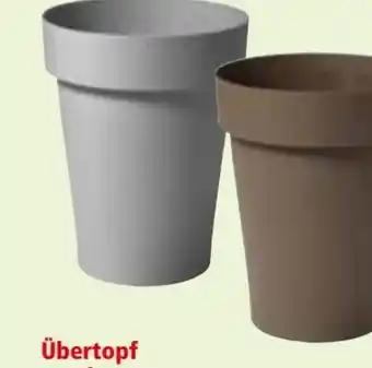 Interspar Übertopf Melrose Angebot