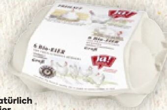 Billa Bio Eier Angebot