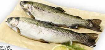 Billa Forelle Angebot