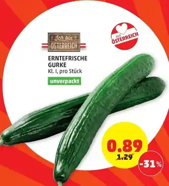 PENNY Erntefrische Gurke Angebot