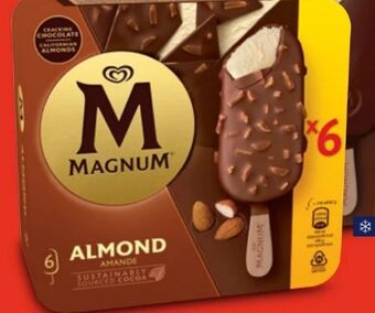 Hofer Magnum Angebot