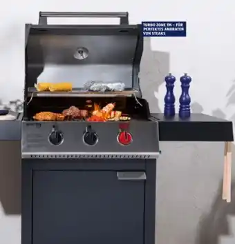 Hofer Gasgrill Chicago 3 R Turbo Angebot