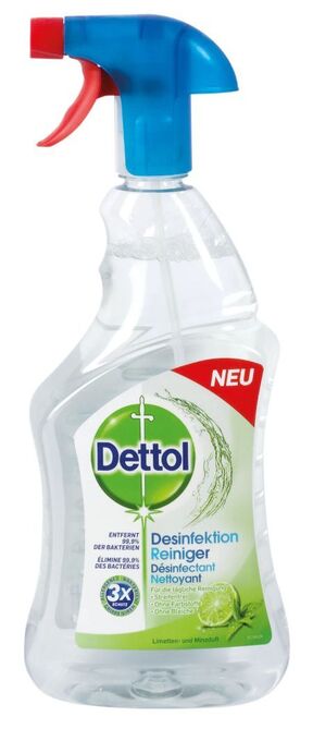 dm Desinfektion Reiniger Angebot
