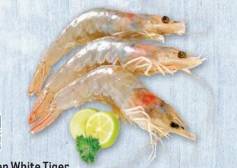Metro Garnelen White Tiger Angebot