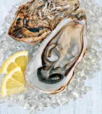 Metro Gillardeau Austern Angebot