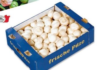 Metro Champignons Angebot