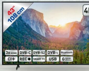 Metro QLED TV 43Q60A Angebot