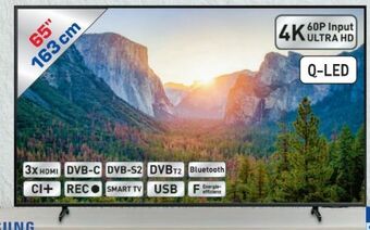 Metro QLED TV 65Q60A Angebot