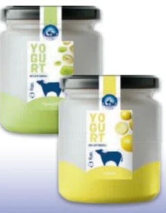 Metro Büffelmilch Joghurt Angebot