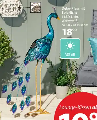 NKD Deko Pfau Mit Solarlicht 50x41x88 Angebot