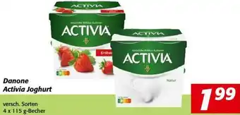 Nah&Frisch Danone Activia Joghurt 4x115 g Angebot