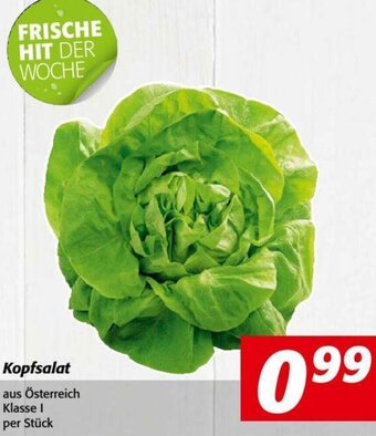 Nah&Frisch Kopfsalat Angebot