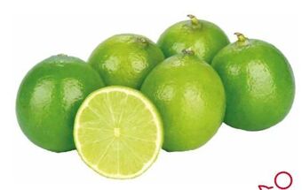 Transgourmet Limetten Angebot