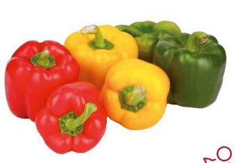 Transgourmet Paprika Mix Angebot