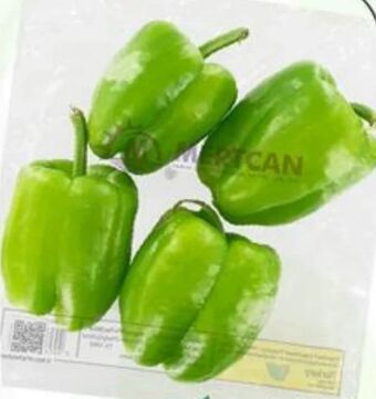 ETSAN Runde Paprika Angebot