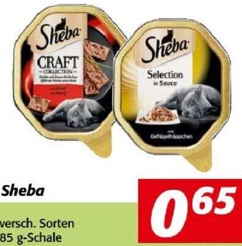 Nah&Frisch Sheba 85 g Angebot