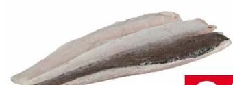 Transgourmet Kap Seehechtfilet Angebot