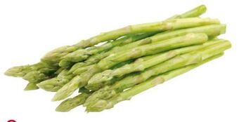 Transgourmet Spargel Angebot