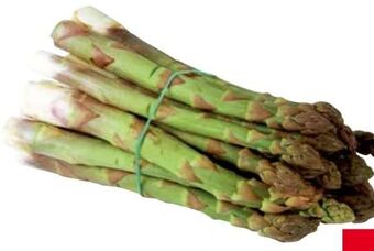 Transgourmet Spargel Angebot