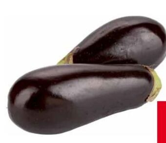 Transgourmet Melanzani Angebot