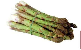 Transgourmet Spargel Angebot