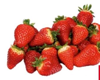 Transgourmet Erdbeeren Angebot