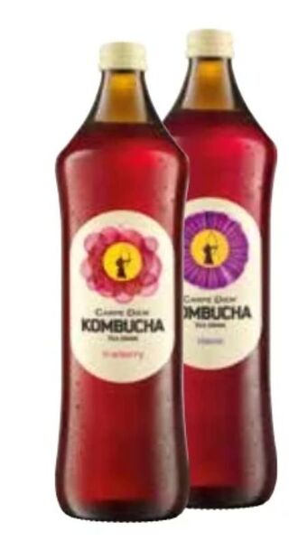 Transgourmet Kombucha Classic Angebot