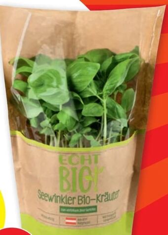 PENNY Kräuter Angebot