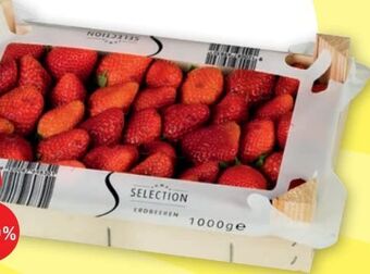 PENNY Premium Erdbeeren Angebot