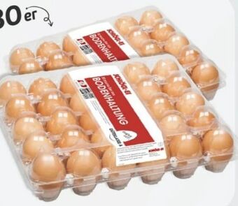 ETSAN Eier Angebot