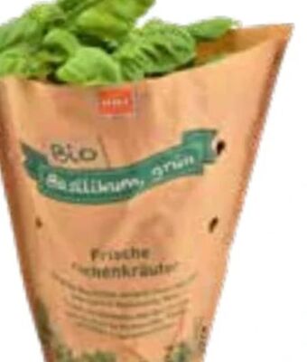 OBI Bio Basilikum Angebot